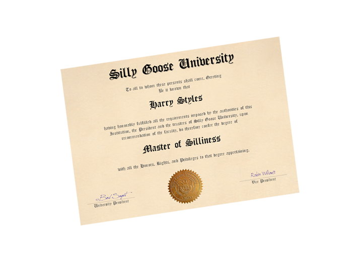 bachelors degree diploma