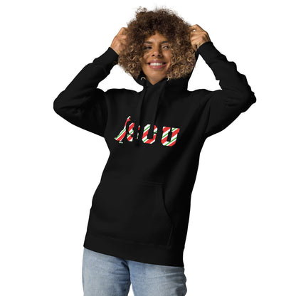 SGU Candy Cane Winter Wonderland Edition | Premium Unisex Hoodie - Coal - Screen Print